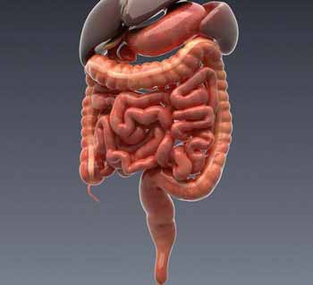 Colorectal Surgery